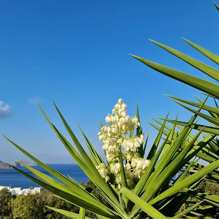 Tilos アパート Livadia
