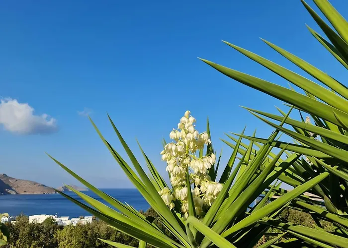 Tilos 公寓 里瓦的亚